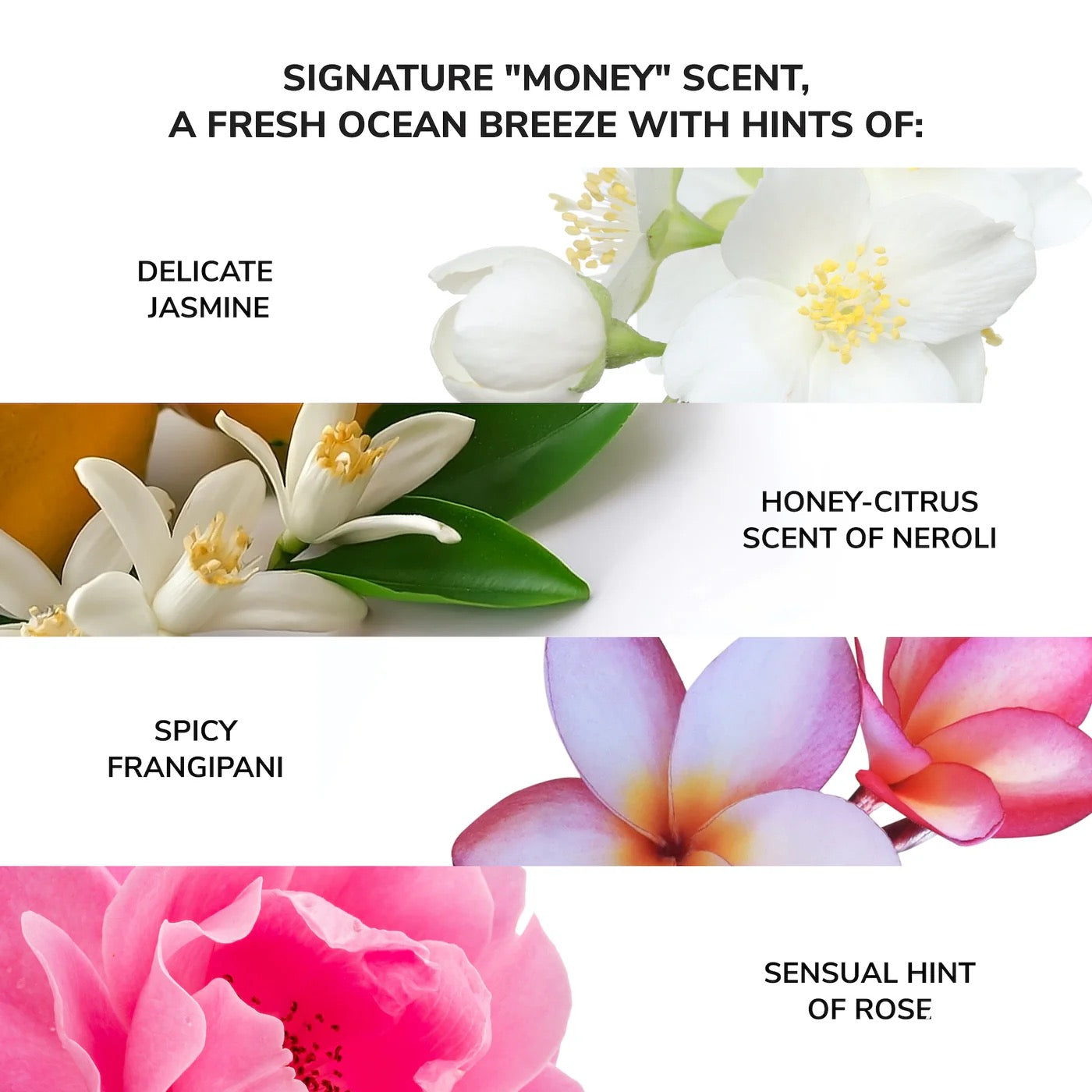 Color-Wow-Money Laundering Glossing Conditioner